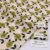 Beige/Green Pattern