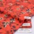 Orange Floral